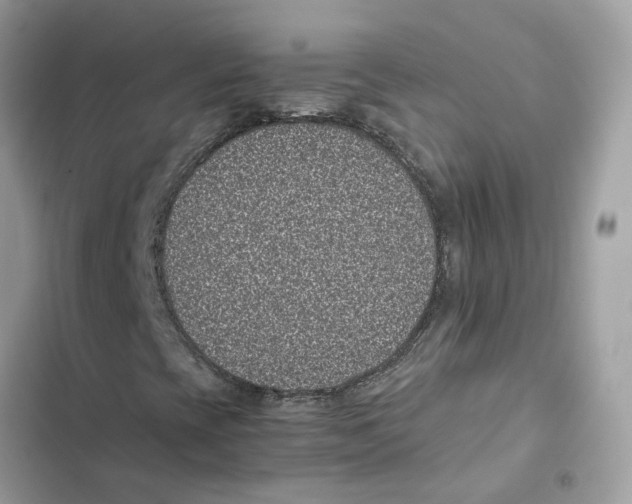 X0000101991393200808151413