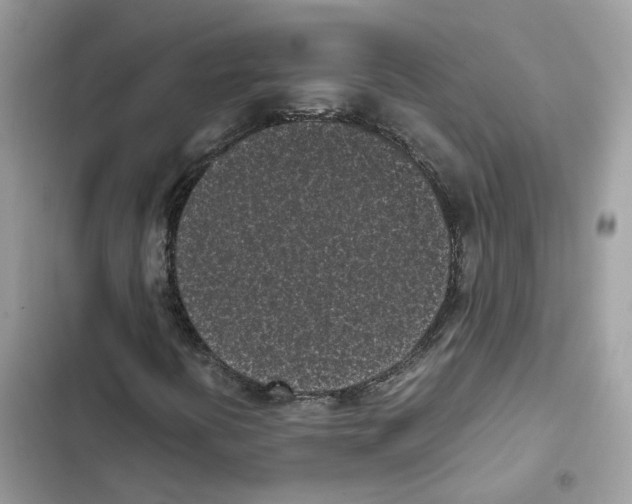 X0000101991394200808151413