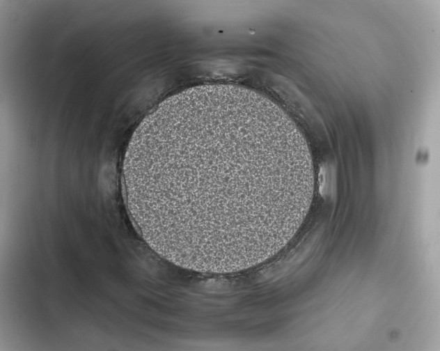 X0000101991395200808151413
