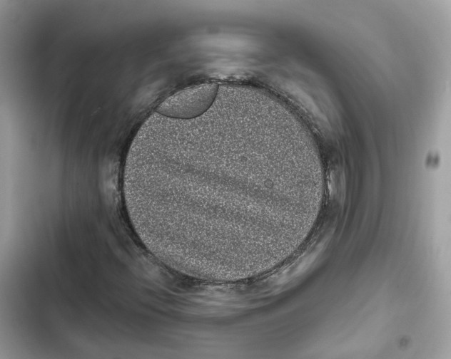 X0000101991396200808151413