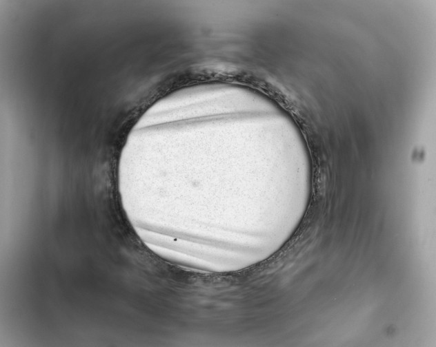 X0000101991397200808151413