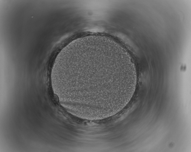 X0000101991398200808151413