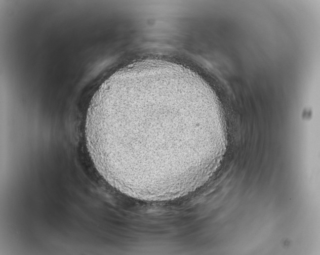 X0000101991399200808151413