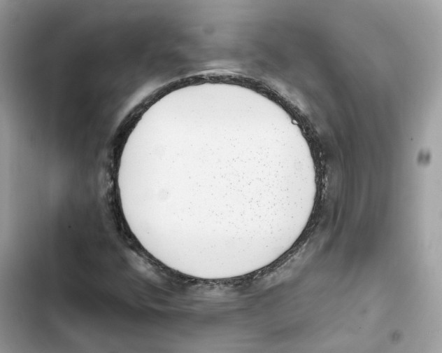 X0000101991400200808151413