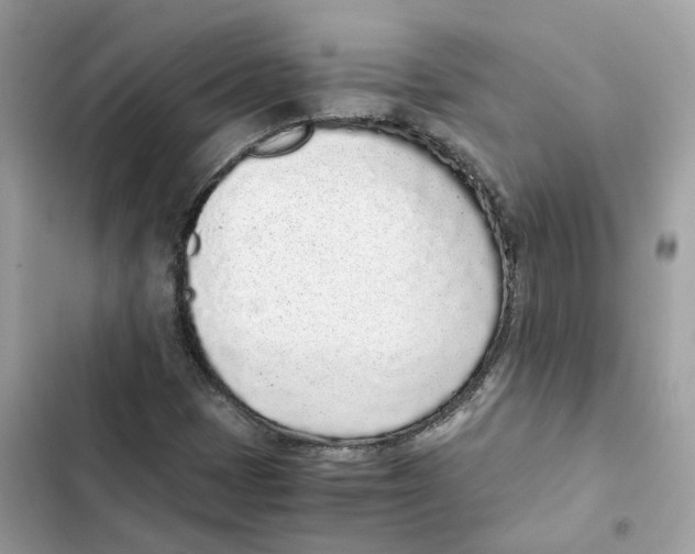 X0000101991401200808151413
