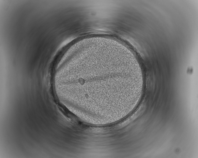 X0000101991402200808151413