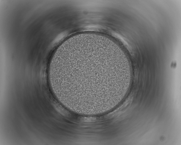 X0000101991403200808151413