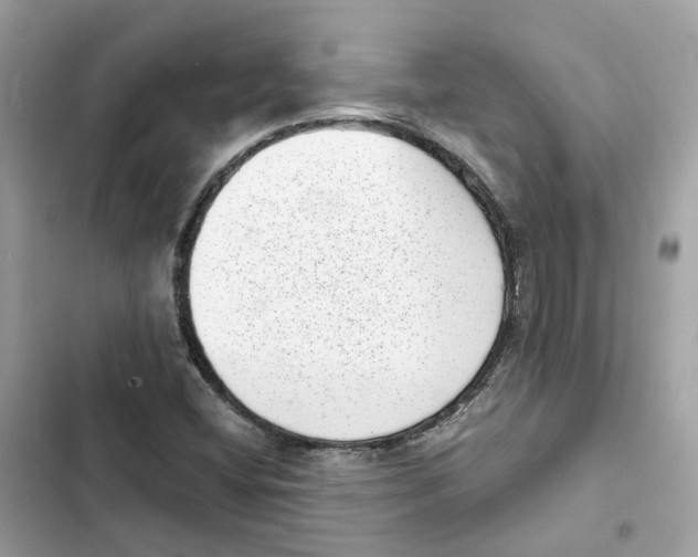 X0000101991404200808151413