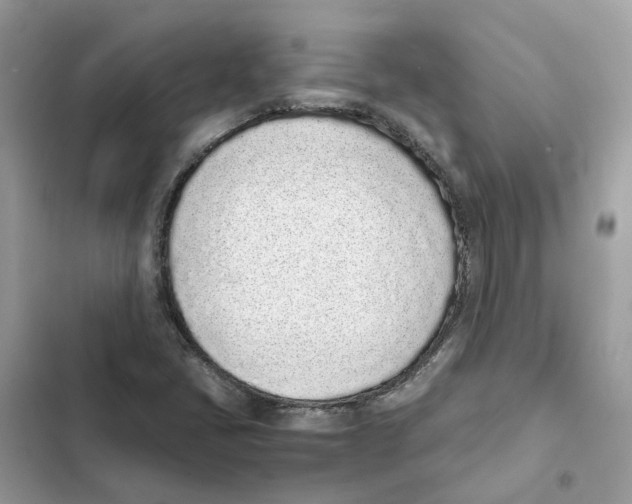 X0000101991405200808151413