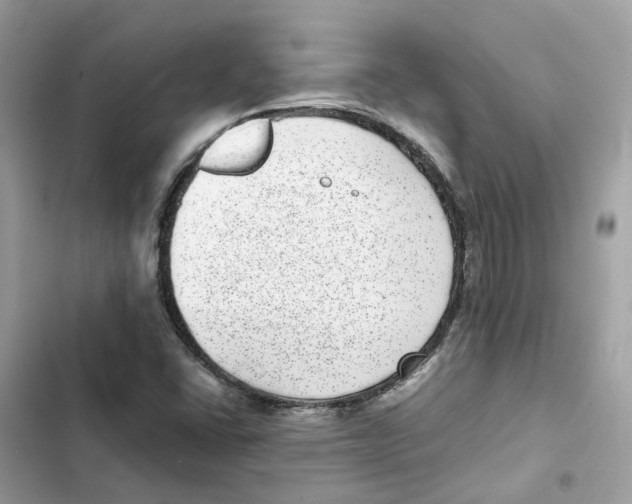 X0000101991406200808151413