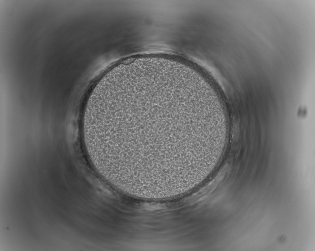 X0000101991407200808151413