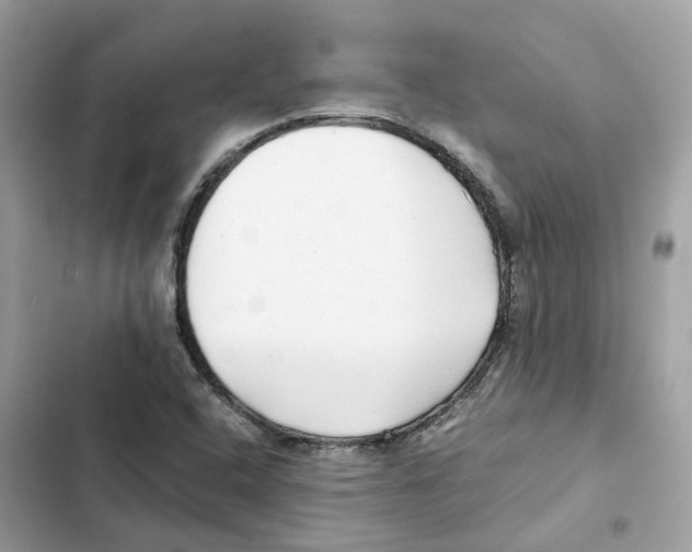 X0000101991408200808151413