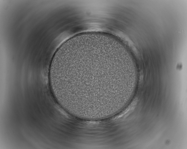 X0000101991409200808151413