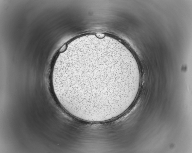X0000101991410200808151413