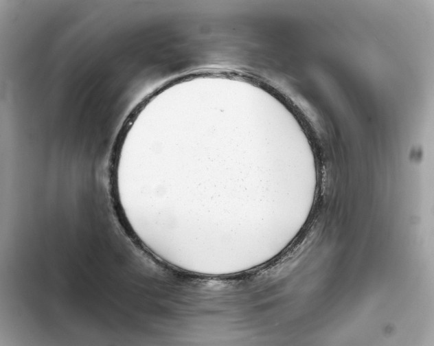 X0000101991412200808151413