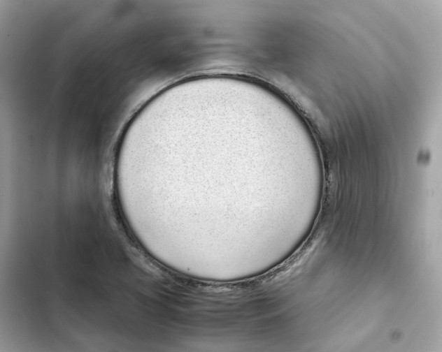 X0000101991413200808151413