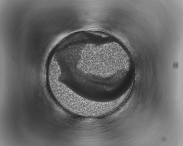 X0000101991414200808151413