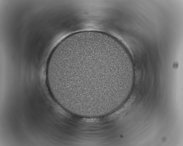 X0000101991415200808151413