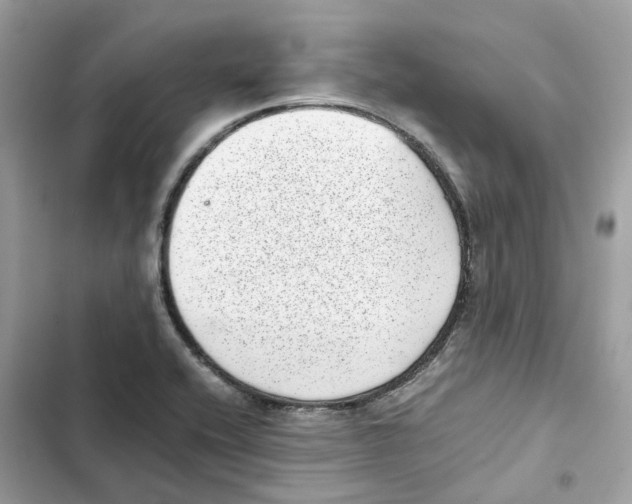X0000101991416200808151413