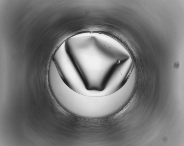 X0000101991417200808151413