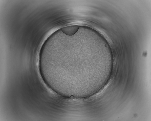 X0000101991418200808151413
