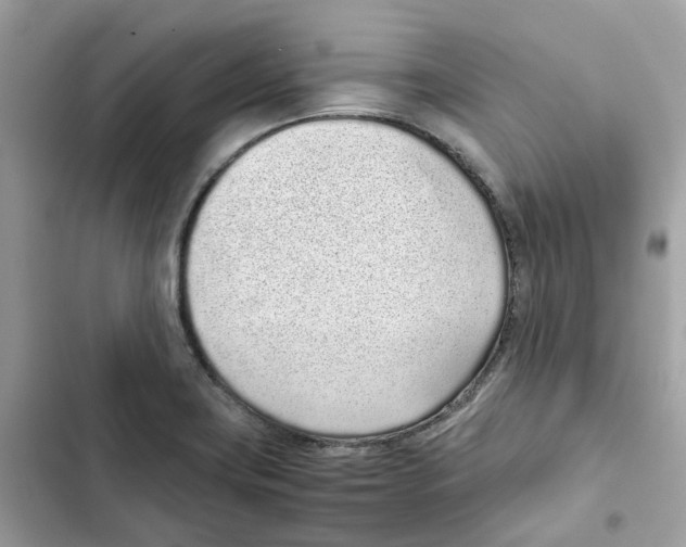 X0000101991419200808151413