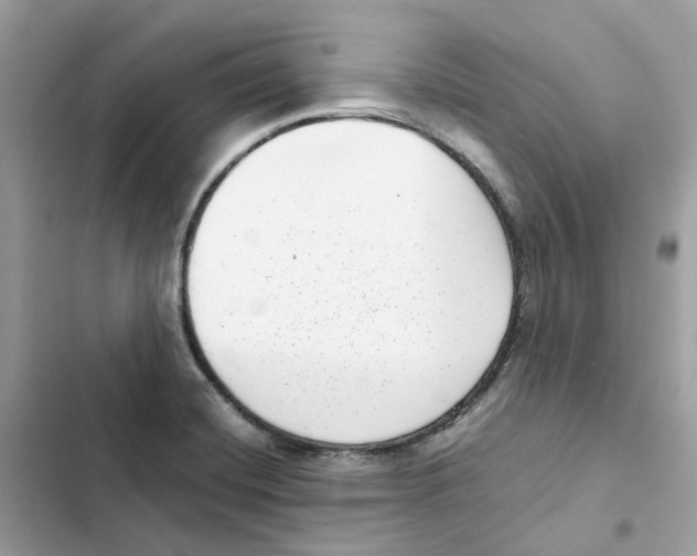 X0000101991420200808151413