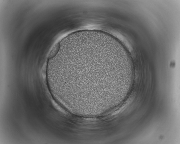 X0000101991421200808151413