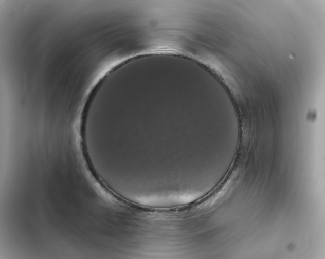X0000101991422200808151413