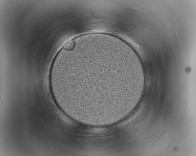 X0000101991423200808151413
