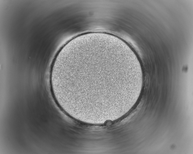 X0000101991424200808151413