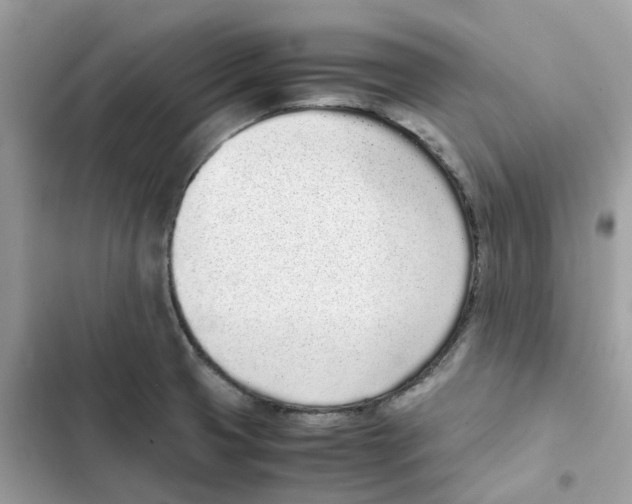 X0000101991425200808151414