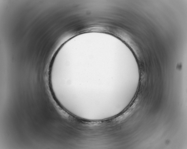 X0000101991426200808151414