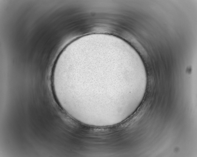 X0000101991427200808151414
