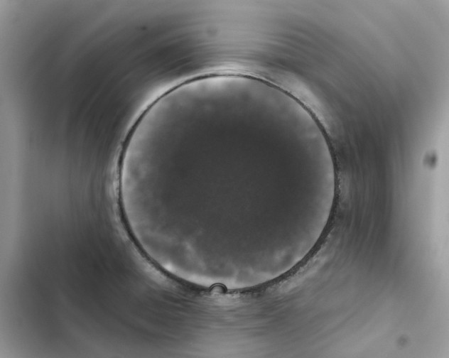 X0000101991428200808151414
