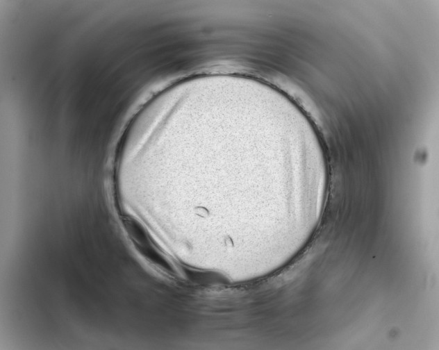 X0000101991429200808151414