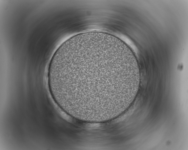 X0000101991431200808151414