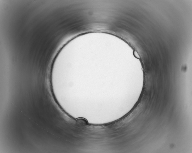 X0000101991432200808151414
