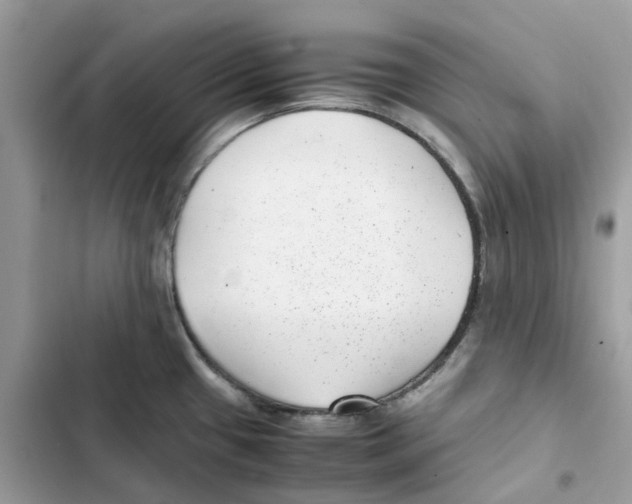 X0000101991433200808151414