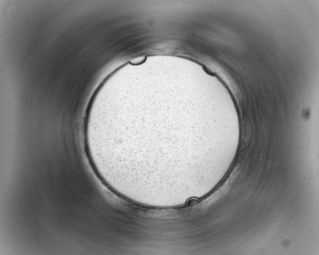 X0000101991434200808151414