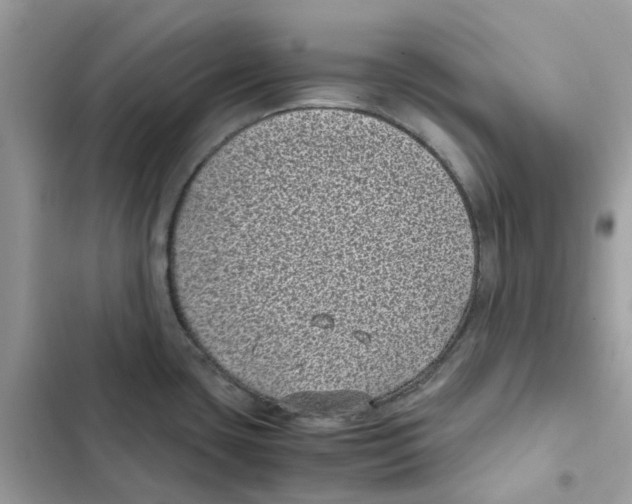 X0000101991435200808151414