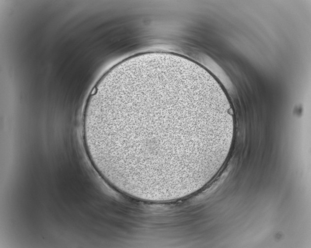 X0000101991436200808151414