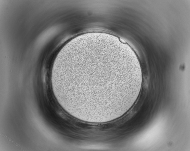 X0000101991438200808151414