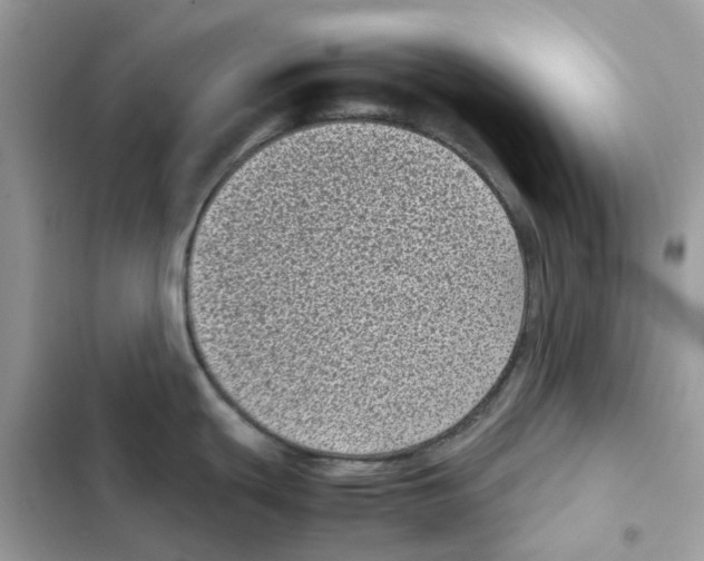 X0000101991439200808151414