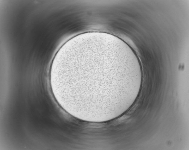 X0000101991440200808151414