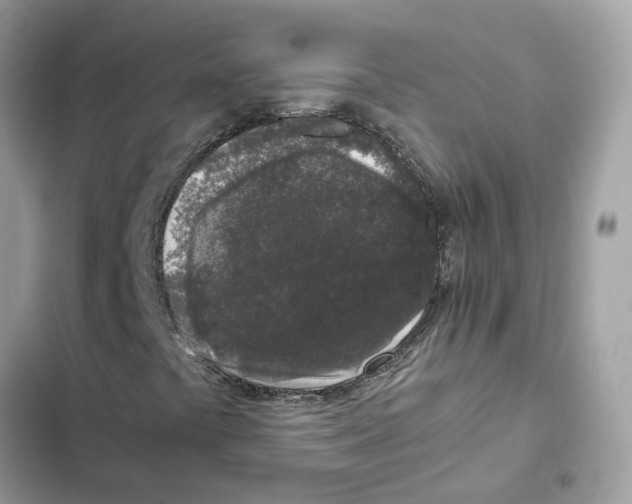 X0000101991441200808151413