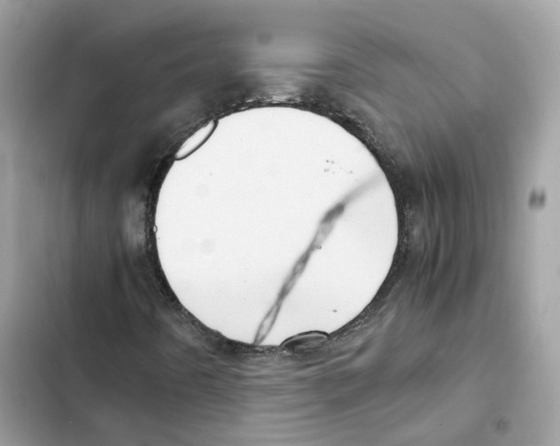 X0000101991442200808151413