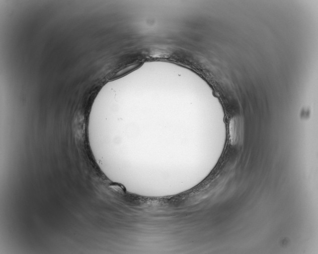 X0000101991443200808151413