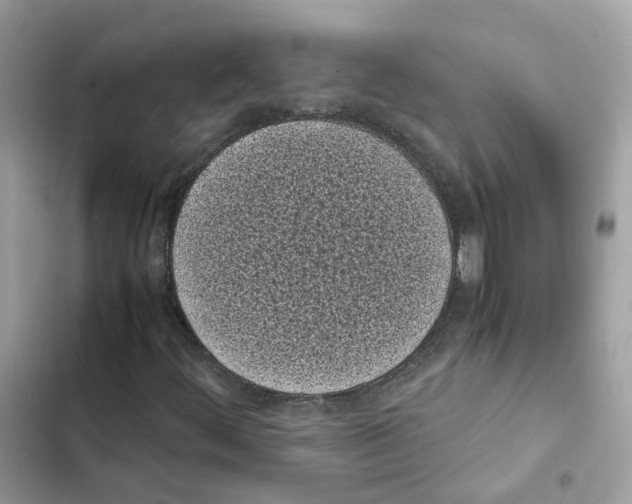 X0000101991444200808151413
