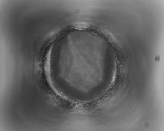 X0000101991445200808151413